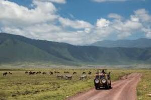 safari car in Ngorongoro Crater